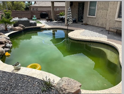 Acid Washes / Drains - From green to clean I can make your pool look new again!