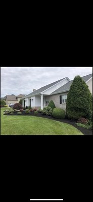 Professional landscaping - Call Steve’s TREE Service the fully insured professional