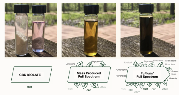 Classes of Hemp Products & Phytonutrient Comparison - Consumers are choosing hemp as a natural solution, but most "CBD" products are highly processed, environmentally destructive, pharmaceutical in nature, yet don't follow the science.
CBD is great, but only one of the over 400 compounds in hemp. Leading hemp practitioners and industry pioneers (Dr. Mechoulam, Dr. Russo, Mr. Leinow and Dr. Moskowitz) support The Entourage Effect, a notion that synergy occurs between the natural interaction of the over 400 different phytocompounds found in hemp; thereby making the whole plant more effective than any one, or a limited number of components. Classes of Hemp Products & Phytonutrient Comparison - Consumers are choosing hemp as a natural solution, but most "CBD" products are highly processed, environmentally destructive, pharmaceutical in nature, yet don't follow the science.
CBD is great, but only one of the over 400 compounds in hemp. Leading hemp practitioners and industry pioneers (Dr. Mechoulam, Dr. Russo, Mr. Leinow and Dr. Moskowitz) support The Entourage Effect, a notion that synergy occurs between the natural interaction of the over 400 different phytocompounds found in hemp; thereby making the whole plant more effective than any one, or a limited number of components.