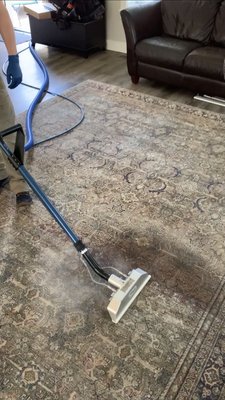 Area Rug Cleaning - Here is a great example of a pet spot removal from a living room area rug using our hot water extraction process. Area Rug Cleaning - Here is a great example of a pet spot removal from a living room area rug using our hot water extraction process.
