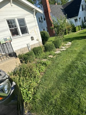 Flower bed transformation 2024 - This flower bed had been neglected and got out of hand the client reached out and we transformed the flower bed and brought it back to life. The client was extremely pleased and happy. Flower bed transformation 2024 - This flower bed had been neglected and got out of hand the client reached out and we transformed the flower bed and brought it back to life. The client was extremely pleased and happy.