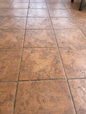 4 bedroom 3 bathroom tile and grout cleaning - Tile and grout cleaning