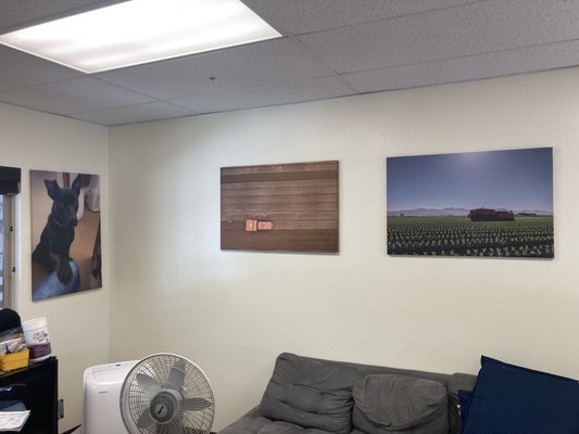 FarmWise Ad. Campaign/ Canvas Project - Filled office with drone photos taken from the fields in the Salinas Valley. FarmWise Ad. Campaign/ Canvas Project - Filled office with drone photos taken from the fields in the Salinas Valley.