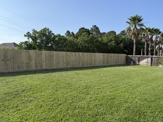 Fence replacement - Tomball tx
Pine treated fence 6 ft tall with 2x6 rot, 2 gates Fence replacement - Tomball tx
Pine treated fence 6 ft tall with 2x6 rot, 2 gates