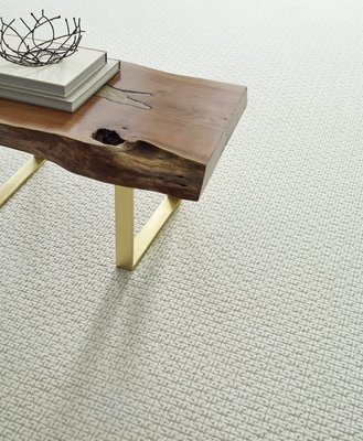 Carpet - With over a thousand stores worldwide, Bloomington Carpet One Floor & Home not only have enormous buying power, but we have partners in all of the major brands, mills, and manufacturers. We’ve done the research for you. Just tell us your needs, and we’ll satisfy them beyond your expectations. We offer the largest selection of carpet, hardwood, laminate, vinyl, area rugs and more - and you'll always find the best products and great savings... everyday.