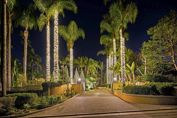Recent Christmas Lighting Projects - Here are some of our recent christmas lighting installation from the 2025 christmas season! Recent Christmas Lighting Projects - Here are some of our recent christmas lighting installation from the 2025 christmas season!