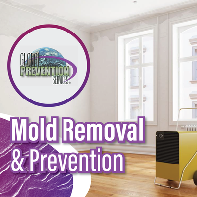 Global Prevention Services - Global Prevention Services Global Prevention Services - Global Prevention Services