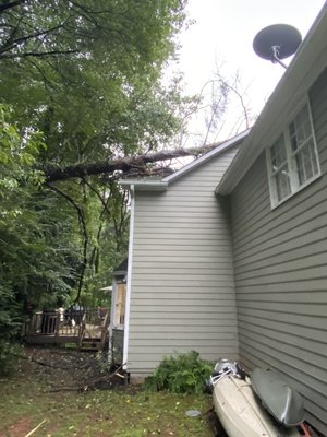 Emergency service, removal, pruning, call AAA Tree Experts. - These are several recent jobs we have been a part of. Emergency service, removal, pruning, call AAA Tree Experts. - These are several recent jobs we have been a part of.