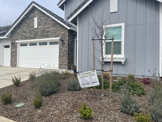 Landscaping for Art - This landscaping project we did for
Mr Art on Rancho Cordova Ca
Very happy to work with this client. Landscaping for Art - This landscaping project we did for
Mr Art on Rancho Cordova Ca
Very happy to work with this client.