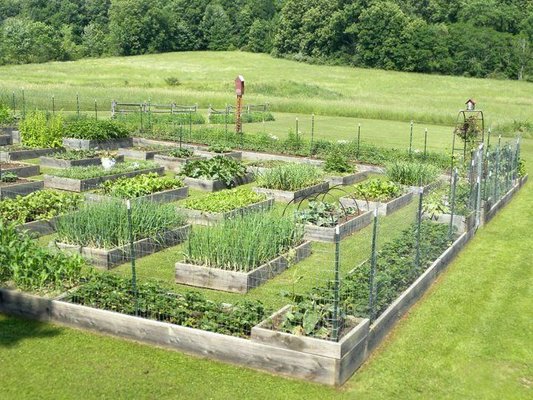 Raise garden bed built and design ￼ - Build and design raised Garden beds