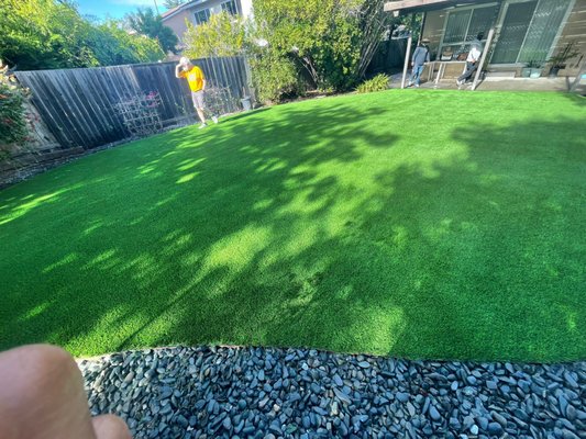 1096 Sqft of GOAT Silver 94 turf in Cupertino CA - These homeowners were looking for pet and kid friendly turf for their home in Cupertino. They selected the GOAT Silver 94 turf which complimented their existing landscape perfectly and completed their dream backyard. 1096 Sqft of GOAT Silver 94 turf in Cupertino CA - These homeowners were looking for pet and kid friendly turf for their home in Cupertino. They selected the GOAT Silver 94 turf which complimented their existing landscape perfectly and completed their dream backyard.