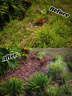 Organic Weeding - We Offer Organic Lawn Maintenance Services In The Central Florida Area. This includes Weeding, Bush Trimming, Leaf Removal, Mulching, Pruning and Small Tree Removal. Organic Weeding - We Offer Organic Lawn Maintenance Services In The Central Florida Area. This includes Weeding, Bush Trimming, Leaf Removal, Mulching, Pruning and Small Tree Removal.