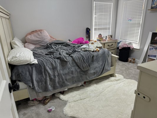 Standard Cleaning - regular cleaning twice a month.