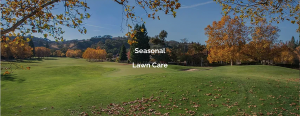 Lawn Care Service - Lawn Care Service Lawn Care Service - Lawn Care Service
