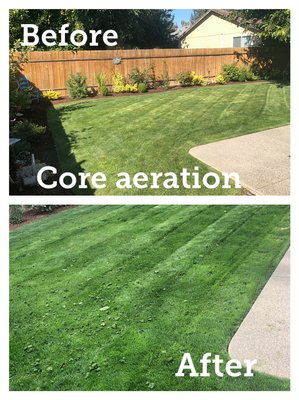 Landscape Clean Up - We Can do A Lot Of Different Projects, Give As A Try Landscape Clean Up - We Can do A Lot Of Different Projects, Give As A Try