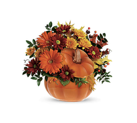 Country Pumpkin - Bright and light orange gerberas, bronze cushion spray chrysanthemums, red daisy spray chrysanthemums, huckleberry, yellow oak leaves and more fill a hand-painted ceramic pumpkin that can be used over and over again. In fact, this pretty pumpkin is destined to carve out a special place in someone's home for years to come! Approximately 13 1/2" W x 12" H
This arrangement is a custom in-house design.
Design may vary if ordered for delivery outside of our area.
NOTE: We attempt to create bouquets to look like on the picture but in certain conditions, we may need to make flower substitutions. Please be confident that we will give our best all the time to make your flower arrangement look gorgeous!
https://barbarasfloral.com/collections/thanksgiving/products/country-pumpkin Country Pumpkin - Bright and light orange gerberas, bronze cushion spray chrysanthemums, red daisy spray chrysanthemums, huckleberry, yellow oak leaves and more fill a hand-painted ceramic pumpkin that can be used over and over again. In fact, this pretty pumpkin is destined to carve out a special place in someone's home for years to come! Approximately 13 1/2" W x 12" H
This arrangement is a custom in-house design.
Design may vary if ordered for delivery outside of our area.
NOTE: We attempt to create bouquets to look like on the picture but in certain conditions, we may need to make flower substitutions. Please be confident that we will give our best all the time to make your flower arrangement look gorgeous!
https://barbarasfloral.com/collections/thanksgiving/products/country-pumpkin