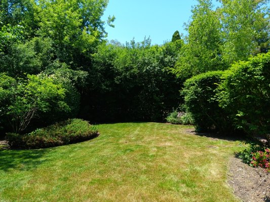 front and back yard mowing edging and weeding - At this beautiful property we did mowing of the lawn edging of the grass along walkways driveway we weeded the entire area including raised beds. we have before and after pictures. we sure gave this property a nice face-lift. front and back yard mowing edging and weeding - At this beautiful property we did mowing of the lawn edging of the grass along walkways driveway we weeded the entire area including raised beds. we have before and after pictures. we sure gave this property a nice face-lift.