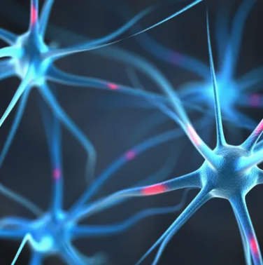 Neuro Science - Functional Neurology is an exciting and innovative alternative to medications for dysfunctions, degeneration, and/or damage of the brain. The concept of Neuroplasticity is well known and highly accepted throughout the scientific and medical communities.
"Neurons That Fire Together - Wire Together". Muscles Are Stupid!
NEURO THERAPIES include but not limited to:
Essential Oil Therapy
Improving the symptoms of...
Dementia
Emotional Control
Speech Difficulty
Hormone Imbalances
Long-term memory
Caloric Therapy
Using heat, sometimes cold, to drive and strengthen the VESTIBULAR MOTOR SYSTEM
This therapy brings the weaker side of the brain into balance with the stronger side.
This is particularly helpful for difficulties with
Emotions
Behavioral Disorders
Depression
Anxiety
Resulting In YOU Controlling Your Emotions NOT Your Emotions Controlling You
'Brain' Laser
Red & Violet Wavelength Frequencies are designed for the many areas of the NERVOUS SYSTEM
to Improve Cellular Function,Increase Metabolism, Improve Mitochondria Function, Fght Inflammation,
Fight Infection.
"The sensation is very subtle but the results feel similar to toning muscles through weight training."
Laser Patterning
Laser Patterning uses a laser helmet to follow the pattern on a target.
Utilizing Visual Control to Develop More Accurate Neck Control & Longer Endurance of Visual Gaze
Spin Translate Therapy
Advanced Neuro-Spinal-Longevity Solutions
Spin Tranverse Therapy
Activates a specific part of the cerebellum that drives the VESTIBULAR MOTOR SYSTEM
and the areas of the brain surrounding it.
Balance
Posture
Body & Muscle Control
Emotions...
Rotary Optokinetic
Rotational Therapies tap into the VISUAL NEURAL PATHWAY Stimulatiing and Unlocking the Neurological Environment that causes Movement Disorders.
Optokinetic Stimulation
Advanced Neuro-Spinal-Longevity Solutions
Optokinetic Stimulation (OKS) trains the brain by using moving visual patterns (stripes, dots) to induce eye movements (nystagmus)
VESTIBULAR SYSTEM
Electrode Therapy
Electrical Pulses Aimed at particular areas of the nervous system block the transmission of pain signals being sent toward the spine and brain.
Electrical Stimulation also works to boost the body's production of endorphins which are natural pain relievers.
Balancing Pad Assesses Difficulty with Balance
Activates the appropriate areas within the cerebellum to aid in balance and coordination.
Neurology Use It to Force Both Sides of the Brain to React, bringing both sides of the brain in alignment.
NEURO DISORDERS
Noninvasive Therapy
Your brain will be improving and changing constantly while developing radical plasticity during your care at Advanced Neuro-Spinal-Longevity Solutions.
Every Visit Dr. Elmer conducts a brain test to customize the therapy to the brain's need.
We help you build up and develop the areas of the brain that are weak, damaged, dysfunctional, or requiring the use of medicine, so that eventually it can function on its own, balanced and in harmony with the rest of the brain. Neuro Science - Functional Neurology is an exciting and innovative alternative to medications for dysfunctions, degeneration, and/or damage of the brain. The concept of Neuroplasticity is well known and highly accepted throughout the scientific and medical communities.
"Neurons That Fire Together - Wire Together". Muscles Are Stupid!
NEURO THERAPIES include but not limited to:
Essential Oil Therapy
Improving the symptoms of...
Dementia
Emotional Control
Speech Difficulty
Hormone Imbalances
Long-term memory
Caloric Therapy
Using heat, sometimes cold, to drive and strengthen the VESTIBULAR MOTOR SYSTEM
This therapy brings the weaker side of the brain into balance with the stronger side.
This is particularly helpful for difficulties with
Emotions
Behavioral Disorders
Depression
Anxiety
Resulting In YOU Controlling Your Emotions NOT Your Emotions Controlling You
'Brain' Laser
Red & Violet Wavelength Frequencies are designed for the many areas of the NERVOUS SYSTEM
to Improve Cellular Function,Increase Metabolism, Improve Mitochondria Function, Fght Inflammation,
Fight Infection.
"The sensation is very subtle but the results feel similar to toning muscles through weight training."
Laser Patterning
Laser Patterning uses a laser helmet to follow the pattern on a target.
Utilizing Visual Control to Develop More Accurate Neck Control & Longer Endurance of Visual Gaze
Spin Translate Therapy
Advanced Neuro-Spinal-Longevity Solutions
Spin Tranverse Therapy
Activates a specific part of the cerebellum that drives the VESTIBULAR MOTOR SYSTEM
and the areas of the brain surrounding it.
Balance
Posture
Body & Muscle Control
Emotions...
Rotary Optokinetic
Rotational Therapies tap into the VISUAL NEURAL PATHWAY Stimulatiing and Unlocking the Neurological Environment that causes Movement Disorders.
Optokinetic Stimulation
Advanced Neuro-Spinal-Longevity Solutions
Optokinetic Stimulation (OKS) trains the brain by using moving visual patterns (stripes, dots) to induce eye movements (nystagmus)
VESTIBULAR SYSTEM
Electrode Therapy
Electrical Pulses Aimed at particular areas of the nervous system block the transmission of pain signals being sent toward the spine and brain.
Electrical Stimulation also works to boost the body's production of endorphins which are natural pain relievers.
Balancing Pad Assesses Difficulty with Balance
Activates the appropriate areas within the cerebellum to aid in balance and coordination.
Neurology Use It to Force Both Sides of the Brain to React, bringing both sides of the brain in alignment.
NEURO DISORDERS
Noninvasive Therapy
Your brain will be improving and changing constantly while developing radical plasticity during your care at Advanced Neuro-Spinal-Longevity Solutions.
Every Visit Dr. Elmer conducts a brain test to customize the therapy to the brain's need.
We help you build up and develop the areas of the brain that are weak, damaged, dysfunctional, or requiring the use of medicine, so that eventually it can function on its own, balanced and in harmony with the rest of the brain.