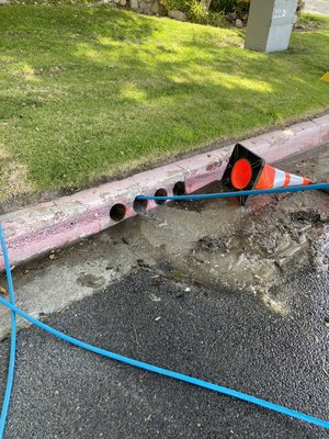 Drain Cleaning - Our Drain cleaning is for all commercial and residential and property management company’s. If you have a drain, we can clear it.