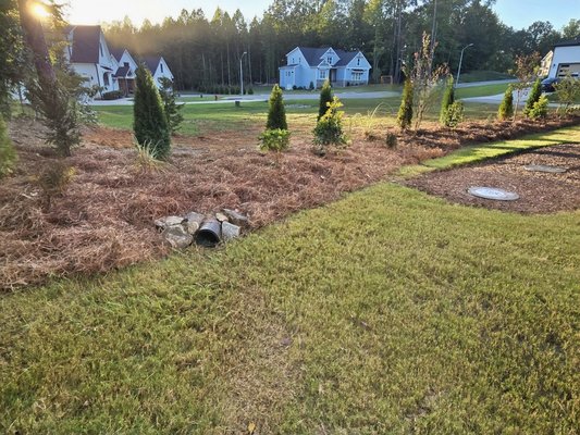 Backyard Burm - Burm built to give backyard privacy and block view of  utility easement, with a pleasing look of course.