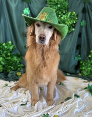 Lucky & Green March - March 2026 Backdrop Lucky & Green March - March 2026 Backdrop