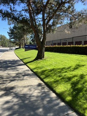 Keep Your Property Green And Thriving - Expert Irrigation, Sprinkler Repair, Tree Services, And Lawn Maintenance For Commercial And Residential Properties. Reliable, Professional, And Affordable Care, Tailor To Your Needs.