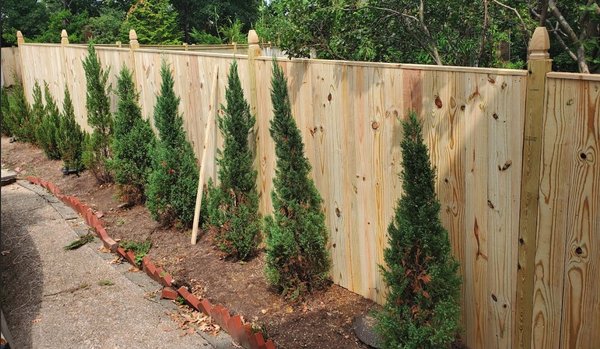 Vertical Fencing - Enhance your property's security and style with a custom vertical fence from Emperor Fence! Our expertly crafted fences offer timeless beauty, privacy, and long-lasting durability.
Upgrade your outdoor space with a fence that’s built to last! Contact Emperor Fence today for a free quote. Vertical Fencing - Enhance your property's security and style with a custom vertical fence from Emperor Fence! Our expertly crafted fences offer timeless beauty, privacy, and long-lasting durability.
Upgrade your outdoor space with a fence that’s built to last! Contact Emperor Fence today for a free quote.