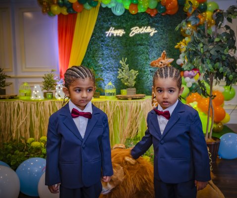 Twins Birthday Celebration - 3 year old - Twins Birthday Celebration Twins Birthday Celebration - 3 year old - Twins Birthday Celebration