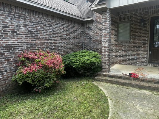 Shrub/Bush Trimming - Before and after of shrub and bush trimming at this beautiful home for sale! A clean, well-maintained yard makes a big difference in curb appeal — especially when selling. We offer professional trimming and cleanup to get your property looking its best. Call today for affordable, reliable service!
Popular for: bush trimming, shrub cleanup, curb appeal services, pre-sale yard cleanup, hedge trimming, landscaping for home sales, real estate lawn prep, yard makeover, trimming overgrown bushes Shrub/Bush Trimming - Before and after of shrub and bush trimming at this beautiful home for sale! A clean, well-maintained yard makes a big difference in curb appeal — especially when selling. We offer professional trimming and cleanup to get your property looking its best. Call today for affordable, reliable service!
Popular for: bush trimming, shrub cleanup, curb appeal services, pre-sale yard cleanup, hedge trimming, landscaping for home sales, real estate lawn prep, yard makeover, trimming overgrown bushes