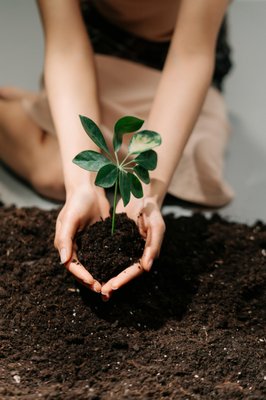 Fertility - Fertility support with acupuncture and Chinese medicine Fertility - Fertility support with acupuncture and Chinese medicine