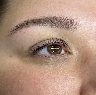 Lash Gallery - Lash Lift & Tint results Lash Gallery - Lash Lift & Tint results