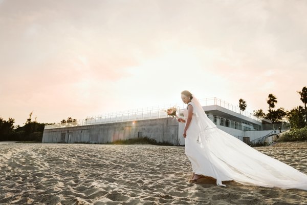 wedding - wedding day wedding - wedding day