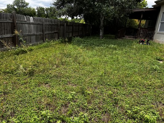Lawn mowing done for a customer - Today a customer reaches to us and wanted a job of lawn mowing we went and we did it customer was left happy. Looking forward to do your lawn mowing also we are here for you Lawn mowing done for a customer - Today a customer reaches to us and wanted a job of lawn mowing we went and we did it customer was left happy. Looking forward to do your lawn mowing also we are here for you