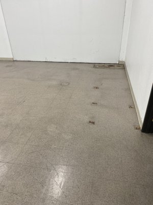 Warehouse cleaning with floor stripping and waxing - Concrete floor scrubbing to remove oil spots and built up residue. Floor stripping and waxing of tiled floor. Warehouse cleaning with floor stripping and waxing - Concrete floor scrubbing to remove oil spots and built up residue. Floor stripping and waxing of tiled floor.