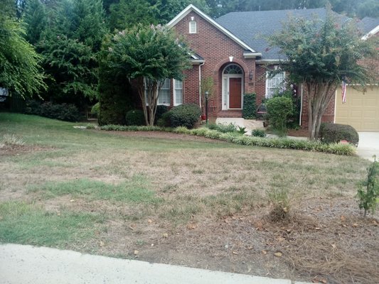 Landscape Design - Rock Garden, w/edgers, stepping stone walkway,  plants and mulch