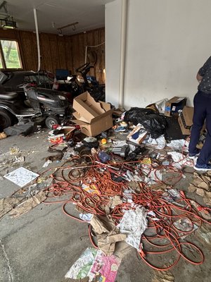 Junk removal service - Junk removal service Junk removal service - Junk removal service