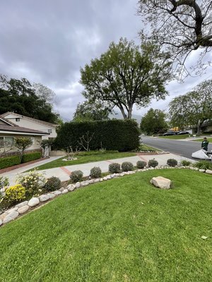 Hedge, bush and tree trimming 2025 - For this project, we trimmed overgrown bushes, hedges, and trees to the exact size the homeowner requested, restoring shape and balance to the landscape. We also removed all weeds throughout the property for a clean, polished look. The homeowner was thrilled with the results and excited to see their vision come to life with a refreshed and well-maintained yard.