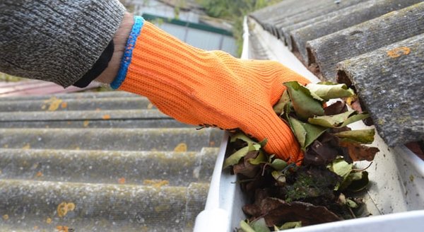 Gutter Cleaning Services - Protect your property from water damage with our thorough gutter cleaning services. We remove leaves, debris, and clog-causing buildup from residential and commercial gutters, ensuring smooth water flow and preventing costly repairs. Our team inspects your gutters and downspouts for damage, keeping your roof, foundation, and landscaping safe throughout the rainy season. Gutter Cleaning Services - Protect your property from water damage with our thorough gutter cleaning services. We remove leaves, debris, and clog-causing buildup from residential and commercial gutters, ensuring smooth water flow and preventing costly repairs. Our team inspects your gutters and downspouts for damage, keeping your roof, foundation, and landscaping safe throughout the rainy season.