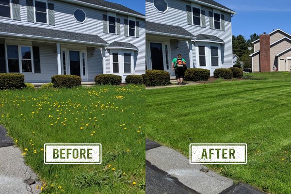 Lawn Mowing Services - These are some before and after pictures of some mowing jobs the team at Conte Lawn Care has performed.