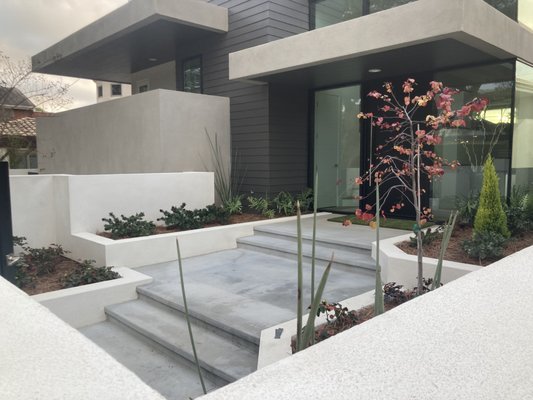 La Jolla Shores Dr. - A new build, in which I advised the architect with the selection of plants, which he chose with my navigation/guidance, and which I installed, both the plants and the irrigation, - the irrigation is subsurface dripline (12'' interval of emitters which are 0.9gph).