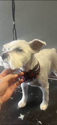 Haircut - Haircut before and after Haircut - Haircut before and after