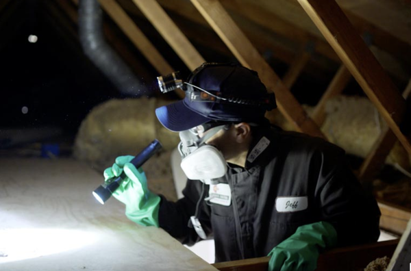 Termite Inspections - How the Termite Inspection Works
Effective termite treatment and control starts with a thorough inspection of your home or building by a professional termite inspector. Professional inspections and termite control should cover the exterior of the building, crawl spaces, attics, and other areas that attract termites. A thorough inspection and termite treatment should also include adjacent timber, tool sheds, and garages.

The resulting report will lay out a customized plan of action for the best termite control and termite treatment costs to ensure the next steps forward are best for the building and your budget. Depending on the termite species, the extent of the infestation, and other factors, the best termite treatment for your home will vary. But every treatment considered must always be safe and proven to get rid of termites.