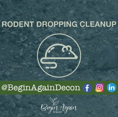 Rodent Dropping - Our team cleans and sanitizes the biohazards after a pest control company has secured the area. Rodent Dropping - Our team cleans and sanitizes the biohazards after a pest control company has secured the area.
