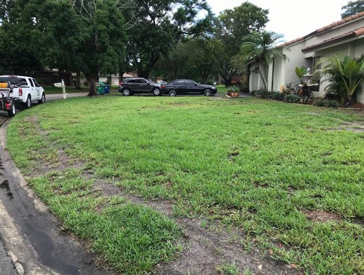 Untreated vs Treated - These are before and after pictures of a treated lawn. I recommend monthly recurring maintenance. Like what you see? Call us now to schedule your free quote. Untreated vs Treated - These are before and after pictures of a treated lawn. I recommend monthly recurring maintenance. Like what you see? Call us now to schedule your free quote.