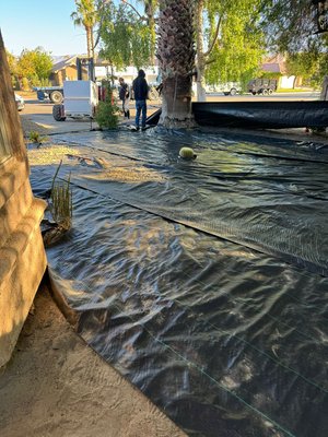 Gravel Landscape Installation Service in Palm Desert – During Work & After Results - This portfolio showcases professional gravel landscape installation services in Palm Desert, featuring detailed during-work and after photos that document the full installation process and final results. These projects focus on transforming bare soil, outdated landscaping, or inefficient ground cover into clean, low-maintenance gravel landscapes designed for desert environments.
The during-work photos highlight critical stages of gravel installation in Palm Desert, including ground preparation, grading, weed barrier installation, base leveling, and gravel placement. These images show the precision and care taken to ensure proper drainage, even coverage, and long-lasting results suited for high-heat desert conditions.
The after photos clearly display the finished gravel landscapes, demonstrating improved curb appeal, cleaner lines, and a polished, modern look. Gravel installations shown in this project are ideal for residential front yards, side yards, pathways, and landscape beds, offering a water-efficient alternative to traditional lawns and high-maintenance ground cover.
Each gravel installation project in Palm Desert is designed to reduce water usage, improve drainage, and create a durable landscape solution that holds up over time. The completed installations enhance both functionality and aesthetics while supporting desert-friendly landscaping goals.
If you’re searching for gravel installation in Palm Desert, landscape gravel services, desert landscaping solutions, or low-maintenance landscape installation, this portfolio provides real examples of professional workmanship. The combination of during-installation and after-completion photos shows exactly how a properly installed gravel landscape can transform outdoor spaces in Palm Desert. Gravel Landscape Installation Service in Palm Desert – During Work & After Results - This portfolio showcases professional gravel landscape installation services in Palm Desert, featuring detailed during-work and after photos that document the full installation process and final results. These projects focus on transforming bare soil, outdated landscaping, or inefficient ground cover into clean, low-maintenance gravel landscapes designed for desert environments.
The during-work photos highlight critical stages of gravel installation in Palm Desert, including ground preparation, grading, weed barrier installation, base leveling, and gravel placement. These images show the precision and care taken to ensure proper drainage, even coverage, and long-lasting results suited for high-heat desert conditions.
The after photos clearly display the finished gravel landscapes, demonstrating improved curb appeal, cleaner lines, and a polished, modern look. Gravel installations shown in this project are ideal for residential front yards, side yards, pathways, and landscape beds, offering a water-efficient alternative to traditional lawns and high-maintenance ground cover.
Each gravel installation project in Palm Desert is designed to reduce water usage, improve drainage, and create a durable landscape solution that holds up over time. The completed installations enhance both functionality and aesthetics while supporting desert-friendly landscaping goals.
If you’re searching for gravel installation in Palm Desert, landscape gravel services, desert landscaping solutions, or low-maintenance landscape installation, this portfolio provides real examples of professional workmanship. The combination of during-installation and after-completion photos shows exactly how a properly installed gravel landscape can transform outdoor spaces in Palm Desert.