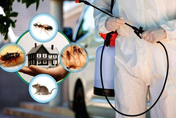 Pest Control Services - In & Out Services: Your Trusted Pest Control Experts
Protecting Homes and Businesses for 5 Years!
Proudly servicing Prince George's County, Washington DC, Montgomery County, Arlington, and Alexandria, we specialize in creating pest-free environments with exceptional service and proven expertise.
Our Comprehensive Pest Control Services Include:
Ant Extermination: Safeguard your home from invasive ants.
Bee Control or Removal: Safe and humane bee removal services.
Flea Extermination: Effective flea treatments to protect your pets and family.
Mice or Rat Control/Removal: Rid your property of rodents with our targeted strategies.
Mosquito Extermination: Enjoy your outdoor spaces again, mosquito-free.
Pest Inspection: Identify and address pest issues before they escalate.
Indoor Pest Preventative Treatment: Long-lasting protection for your indoor spaces.
Spider Extermination: Clear your home of unwanted arachnids.
Tick or Mite Extermination: Shield your family from harmful bites and allergens.
Bed Bug Extermination: Comprehensive treatments to eliminate bed bug infestations.
Cockroach Extermination: Say goodbye to these resilient pests with our thorough methods.
Hornet or Wasp Extermination: Ensure safety with professional removal services.
Mole Control or Removal: Protect your lawn and garden from damaging moles.
Pest Extermination: Tailored solutions for any pest problem.
Pest Preventative Services: Stay pest-free with our maintenance plans.
Outdoor Pest Preventative Treatment: Protect your yard, patio, and garden.
Termite Extermination: Safeguard your property from structural damage.
Why Choose In & Out Services?
Experience You Can Trust: 5 years of successfully serving local communities.
Comprehensive Solutions: We tackle every pest problem, indoors and outdoors.
Environmentally Friendly: Safe for your family, pets, and the environment.
Licensed & Insured: Your peace of mind is our priority.
Personalized Service: Tailored treatments to suit your needs.
Fast & Effective: Prompt service with lasting results.
Don’t let pests take over your space—take action today!
📞 Call In & Out Services now to schedule your consultation and reclaim your home! Pest Control Services - In & Out Services: Your Trusted Pest Control Experts
Protecting Homes and Businesses for 5 Years!
Proudly servicing Prince George's County, Washington DC, Montgomery County, Arlington, and Alexandria, we specialize in creating pest-free environments with exceptional service and proven expertise.
Our Comprehensive Pest Control Services Include:
Ant Extermination: Safeguard your home from invasive ants.
Bee Control or Removal: Safe and humane bee removal services.
Flea Extermination: Effective flea treatments to protect your pets and family.
Mice or Rat Control/Removal: Rid your property of rodents with our targeted strategies.
Mosquito Extermination: Enjoy your outdoor spaces again, mosquito-free.
Pest Inspection: Identify and address pest issues before they escalate.
Indoor Pest Preventative Treatment: Long-lasting protection for your indoor spaces.
Spider Extermination: Clear your home of unwanted arachnids.
Tick or Mite Extermination: Shield your family from harmful bites and allergens.
Bed Bug Extermination: Comprehensive treatments to eliminate bed bug infestations.
Cockroach Extermination: Say goodbye to these resilient pests with our thorough methods.
Hornet or Wasp Extermination: Ensure safety with professional removal services.
Mole Control or Removal: Protect your lawn and garden from damaging moles.
Pest Extermination: Tailored solutions for any pest problem.
Pest Preventative Services: Stay pest-free with our maintenance plans.
Outdoor Pest Preventative Treatment: Protect your yard, patio, and garden.
Termite Extermination: Safeguard your property from structural damage.
Why Choose In & Out Services?
Experience You Can Trust: 5 years of successfully serving local communities.
Comprehensive Solutions: We tackle every pest problem, indoors and outdoors.
Environmentally Friendly: Safe for your family, pets, and the environment.
Licensed & Insured: Your peace of mind is our priority.
Personalized Service: Tailored treatments to suit your needs.
Fast & Effective: Prompt service with lasting results.
Don’t let pests take over your space—take action today!
📞 Call In & Out Services now to schedule your consultation and reclaim your home!