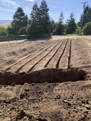 Full Septic System Installation - This full system installation was completed in Petaluma. Our client needed a new system for a new unit on the property, and the soil conditions required an advanced system to be installed. We are certified to install all system types and were able to complete this full drip system that included an Orenco Advantex unit. Despite tight property access, our experienced team was able to navigate equipment and materials in and out easily. We're available by phone 24/7 to discuss your next project, no matter how complicated the system or how difficult to access the site. Full Septic System Installation - This full system installation was completed in Petaluma. Our client needed a new system for a new unit on the property, and the soil conditions required an advanced system to be installed. We are certified to install all system types and were able to complete this full drip system that included an Orenco Advantex unit. Despite tight property access, our experienced team was able to navigate equipment and materials in and out easily. We're available by phone 24/7 to discuss your next project, no matter how complicated the system or how difficult to access the site.