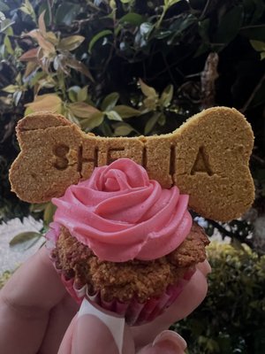 Mini Pupcakes - 🧁Mini peanut butter pupcakes
1 for $1.50
6 for $9
12 for $18

Pupcakes options :
* Plain pupcake ( muffin )
* Plain pupcake & frosting ( original )
* Pupcake original + fruits
* Pupcake & bacon ( text to order 408-681-9714 )
* Pupcakes original + decoration & treats ( text to order 408-681-9714 )
* Pupcakes originally customized ( text to order 408-681-9714 )

Mini pupcakes party/ bday orders

Order within 1m to 2 weeks from the date you would like to pick up your order.
Place your orders with the number 408-681-9714

* Price could go up depending on what you order.