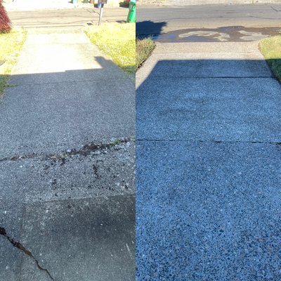 Driveway, Walkway and Roof cleaning.. - Moss and Algae has huge implications in the PNW. We are here to help get your investment looking almost new. We will remove moss, mold, algae from your concrete, brick, roof and your sidings..