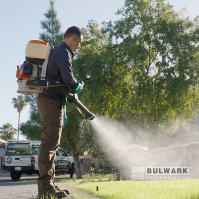 Reclaim your yard from mosquitoes! - Since 1999, Bulwark has been at the forefront of pest control innovation. Now, we're excited to introduce our new Triple Mosquito Barrier! This unique 3-step approach targets mosquitoes at every stage of their life cycle: Larvae: Treated with larvicide in standing water. Breeders: Bait boxes strategically placed in your yard attract and eliminate egg-laying adults, killing 100% of the larvae. Flying Adults: Our advanced misting system ensures complete coverage.Experience year-round freedom from mosquitoes with Bulwark’s Triple Mosquito Barrier. Say goodbye to pests and enjoy your outdoor space again! Reclaim your yard from mosquitoes! - Since 1999, Bulwark has been at the forefront of pest control innovation. Now, we're excited to introduce our new Triple Mosquito Barrier! This unique 3-step approach targets mosquitoes at every stage of their life cycle: Larvae: Treated with larvicide in standing water. Breeders: Bait boxes strategically placed in your yard attract and eliminate egg-laying adults, killing 100% of the larvae. Flying Adults: Our advanced misting system ensures complete coverage.Experience year-round freedom from mosquitoes with Bulwark’s Triple Mosquito Barrier. Say goodbye to pests and enjoy your outdoor space again!